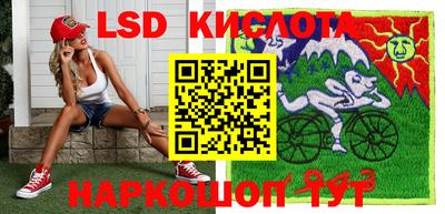 прущие грибы Севастополь