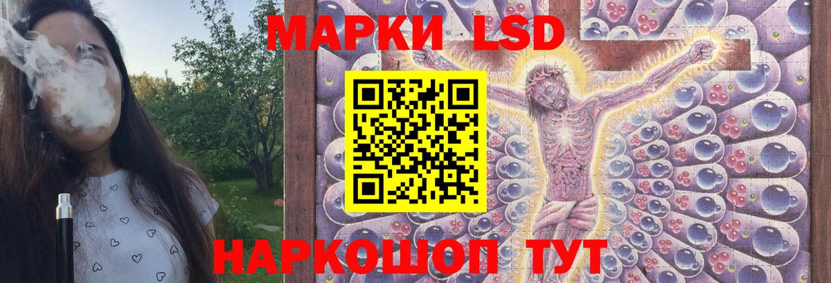Галлюциногенные грибы Сафоново