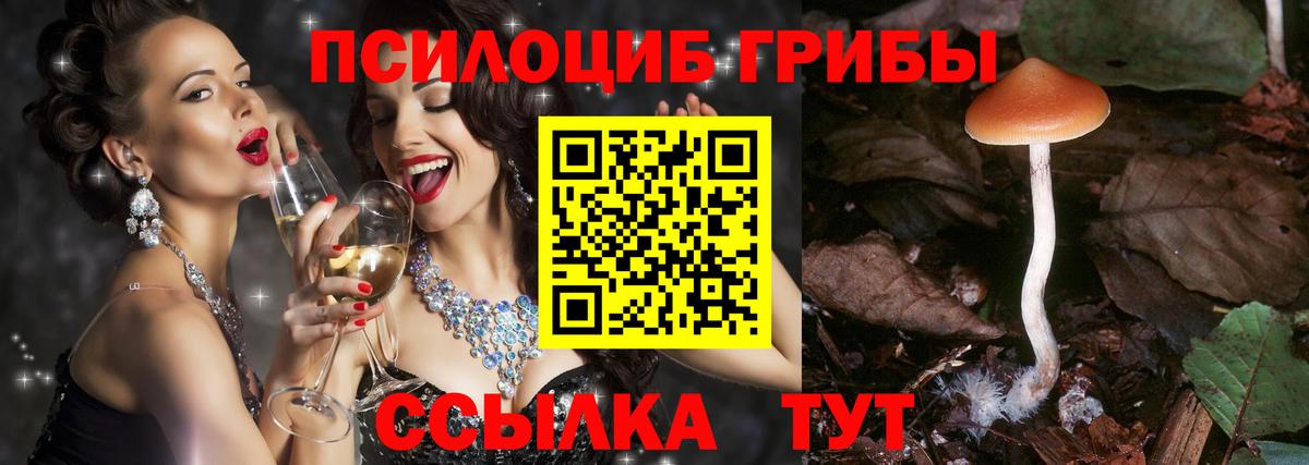 Галлюциногенные грибы ЛСД  цены наркотик  Сафоново  Вход с VPN  Псилоцибиновые грибы мицелий 